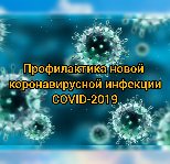 Ограничительные меры в связи с распространением новой коронавирусной инфекции (СОVID-2019)
